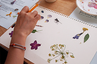 꽃잎으로, 연필로, 그림을 쓰는 시간 클래스 후기